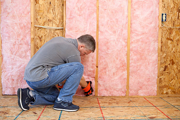 Best Insulation Installation Services in Rocky River, OH